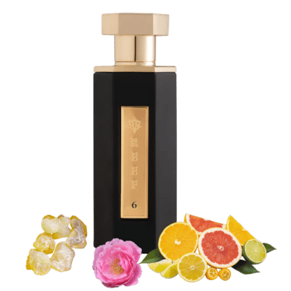Reef 6 100ml