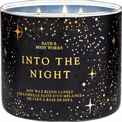 Bath & Body Works Into the Night Candle